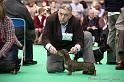 Crufts2011_2 983